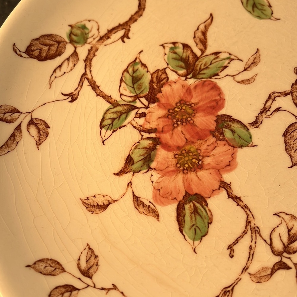 Springtime VTG Plate - Picture 2 of 3